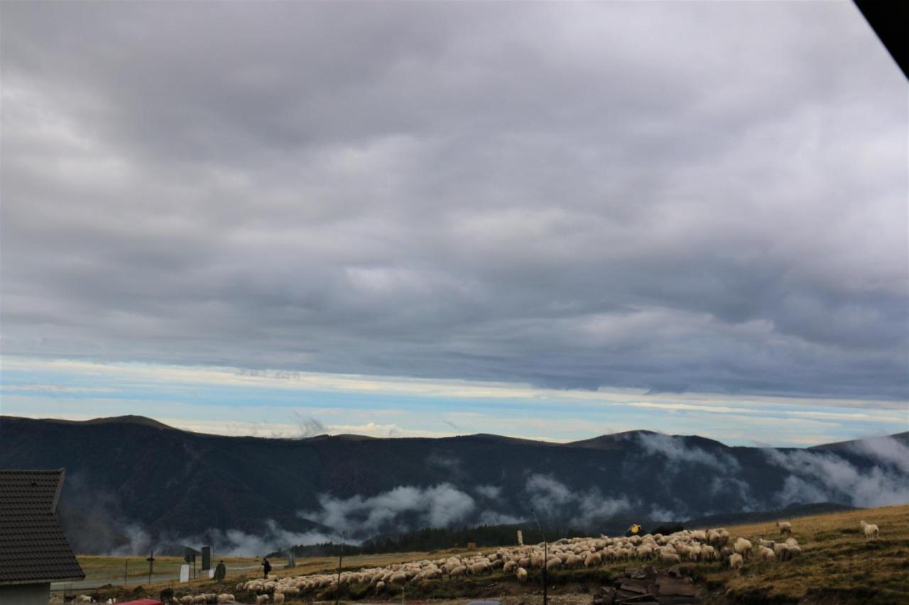 Cabana Transalpina Rânca Kültér fotó