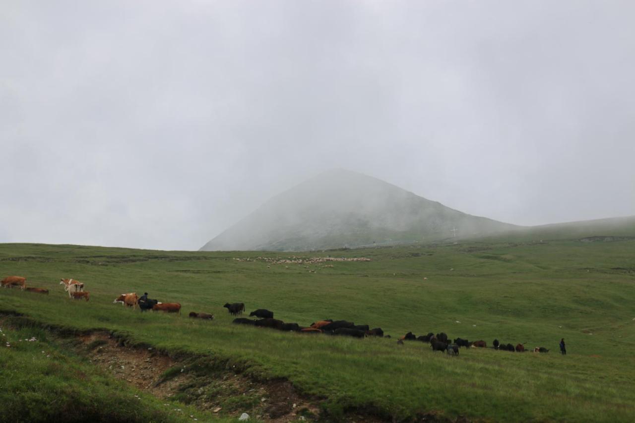 Cabana Transalpina Rânca Kültér fotó