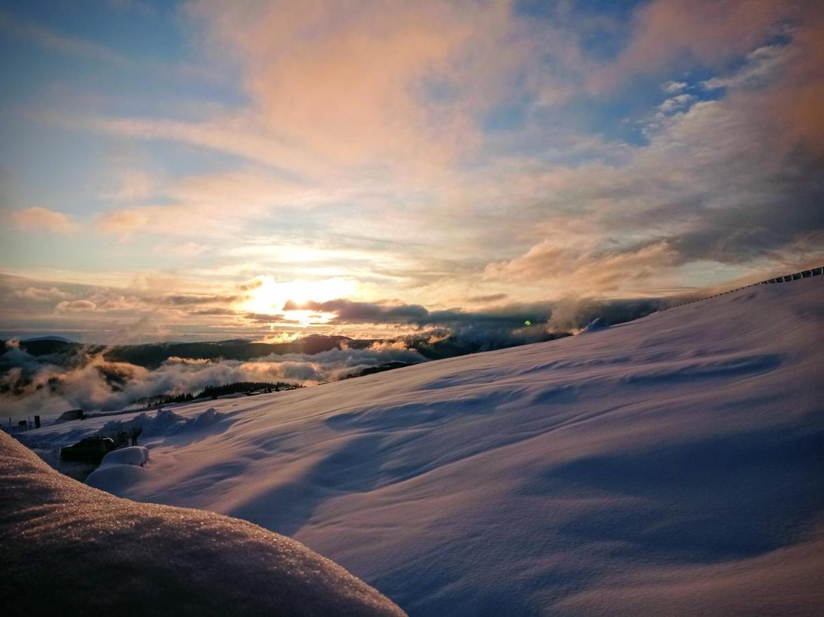 Cabana Transalpina Rânca Kültér fotó