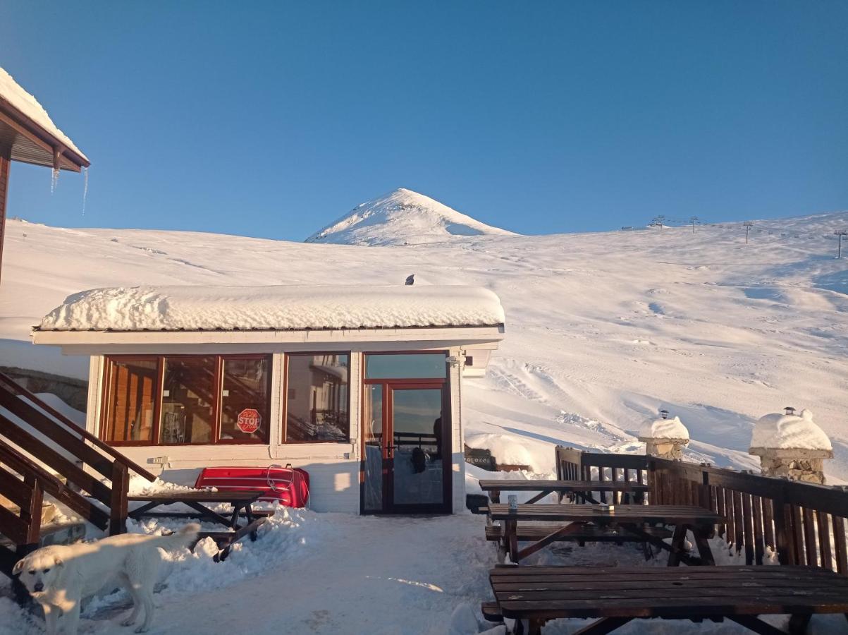 Cabana Transalpina Rânca Kültér fotó